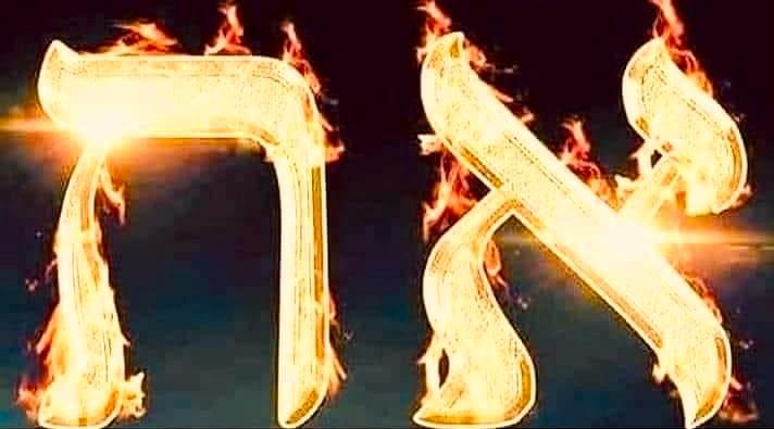 Today, it brings a smile to my face when I think about it. Several years ago, I had posted something which provided us an example of Jesus in the Old Testament, and I received a somewhat “tart” reply from a man who wanted
