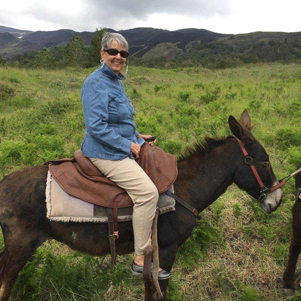 Donkey ride up the side of Mt. Etna.