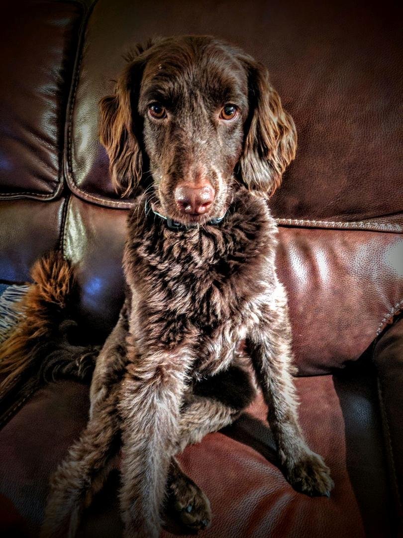 This is the "can't you sit somewhere else" look.