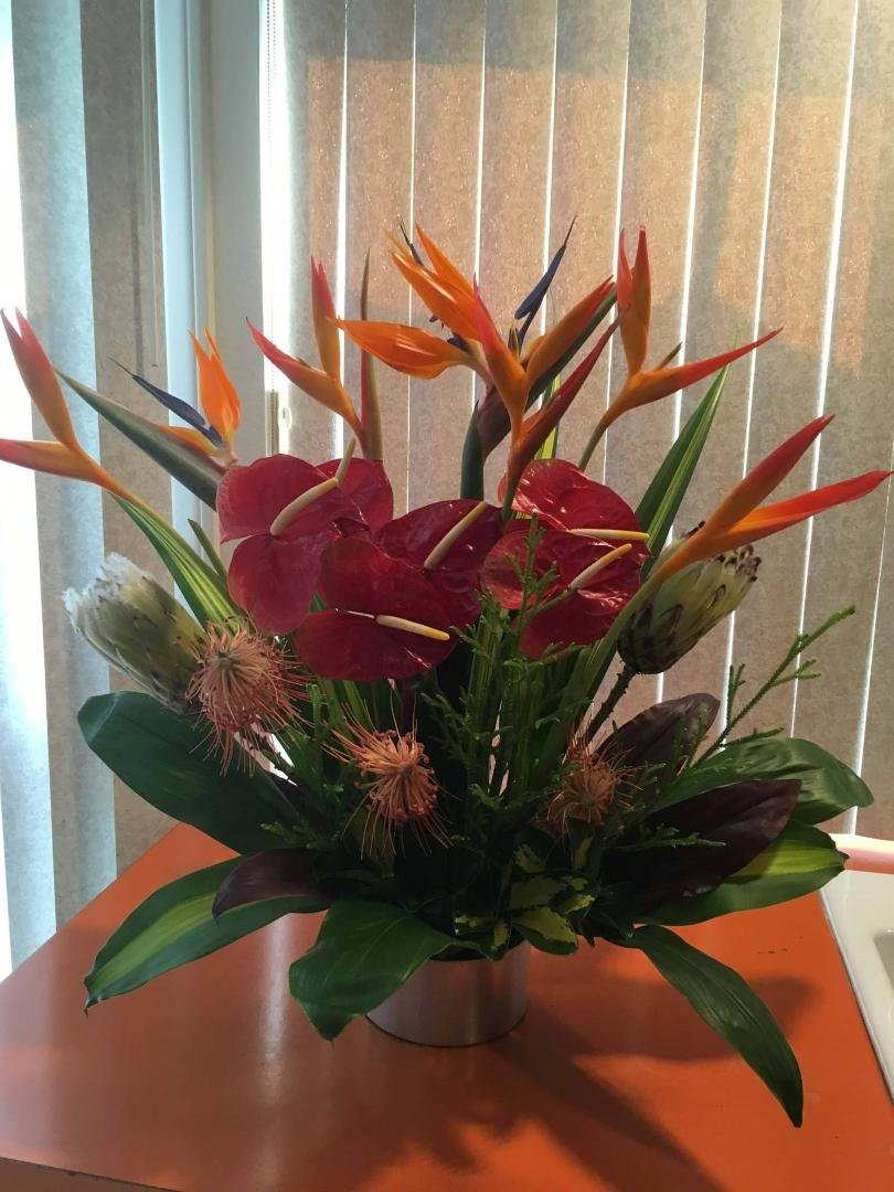 Thank you to our Ohana in Kauai, Marilyn, Theresa, Bob, Deb and Goldie, for the AWESOME Hawaiian arrangement. I love surprises! Today it's even more BEAUTIFUL than yesterday!!! All the leaves have more shine to them an
