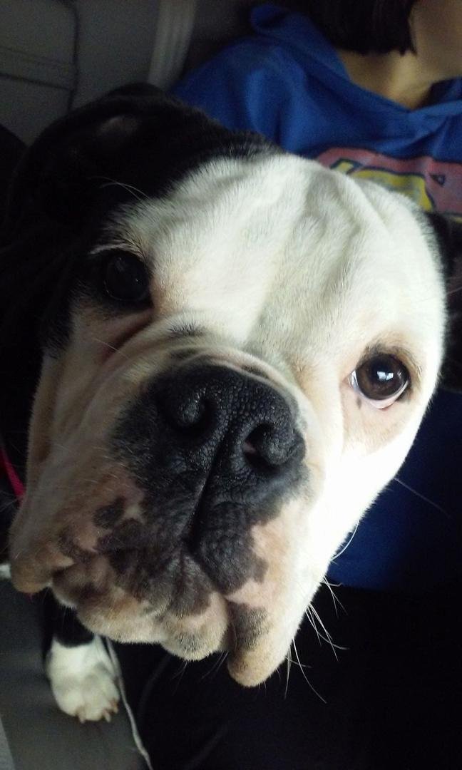 Miss Izzy...I asked her if she wanted some chicken nuggets or a burger and this is the look I got...lol