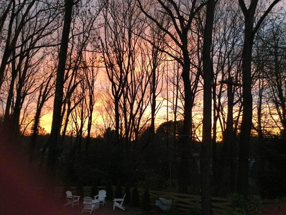 Diana Plumer's album, Timeline photos