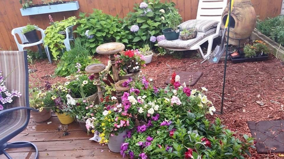 A few more flowers