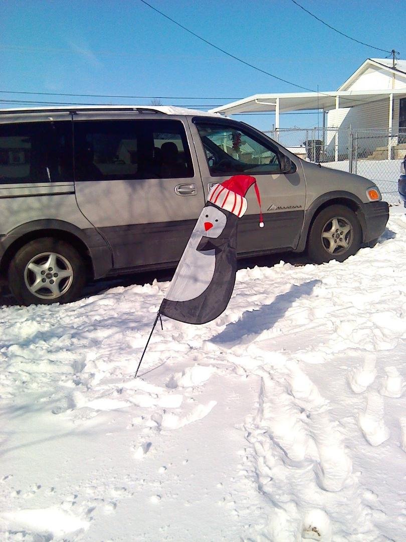 Trish Stout, we love our penguin!