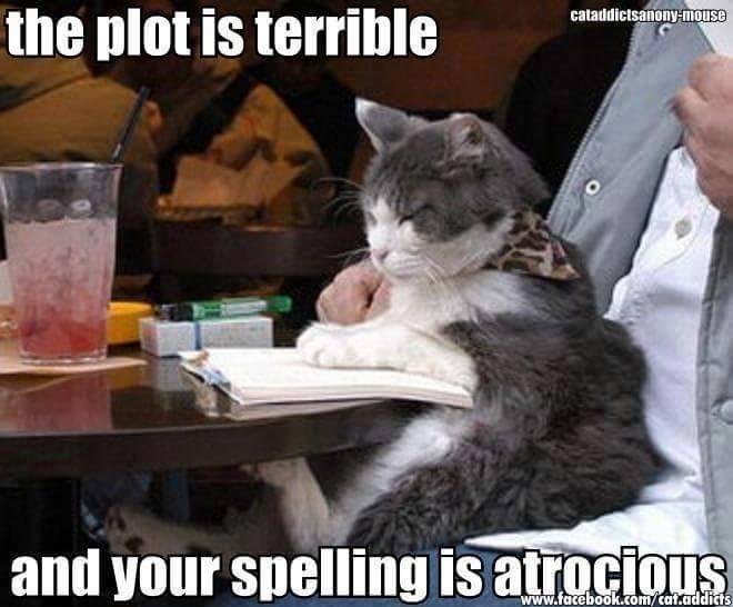 Looked like this when my sister Connie Roses went to college and my cat Elizabeth helped her with her homework! Lol 😸
