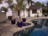 My Roseville house