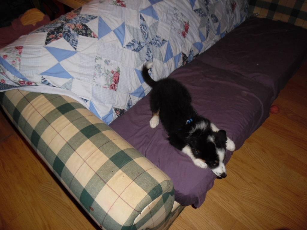 William D Modlin Jr's album, Samsung Smart Camera