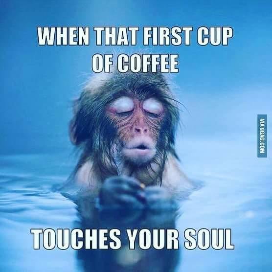 Oh yes😁