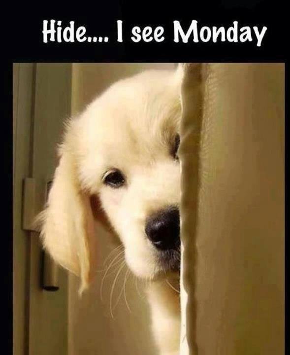 Cutie!
