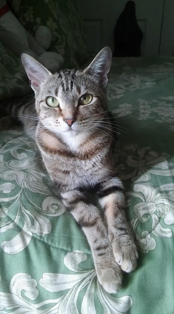My Ruby! She is getting bigger. Love Her!