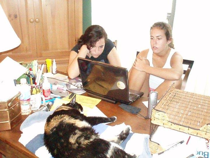 Bug, the world's best, toughest, and fattest cat helping Amy and Kathleen with History Heard back in 2009.