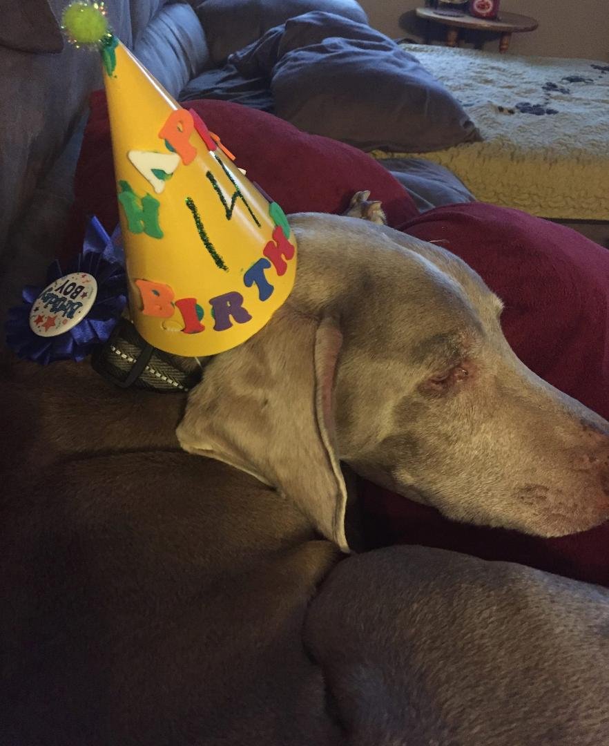 All partied out 💤