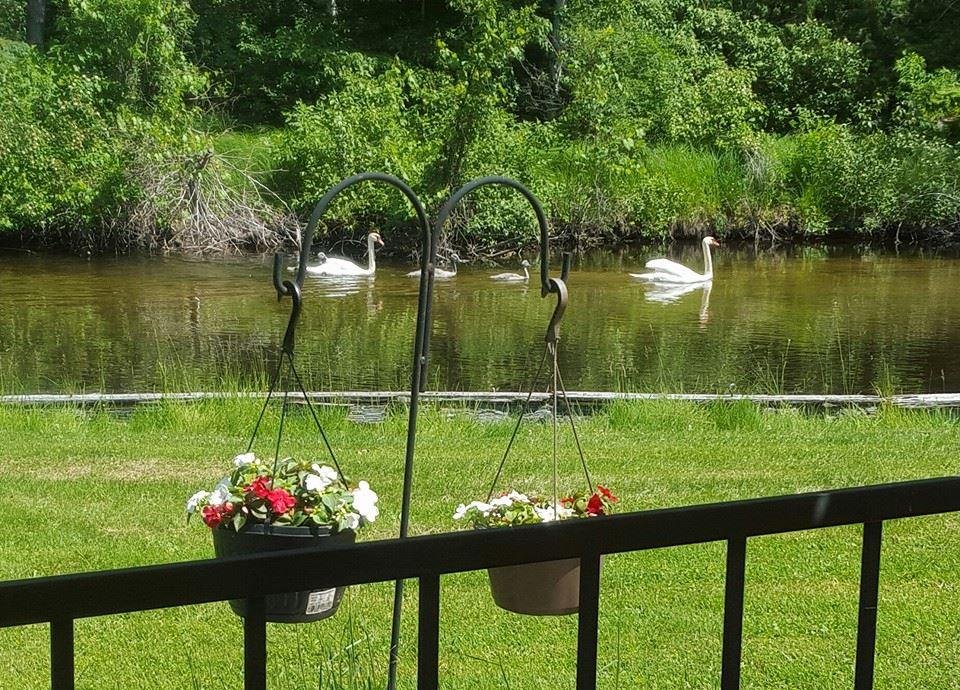 Another peaceful day on the river