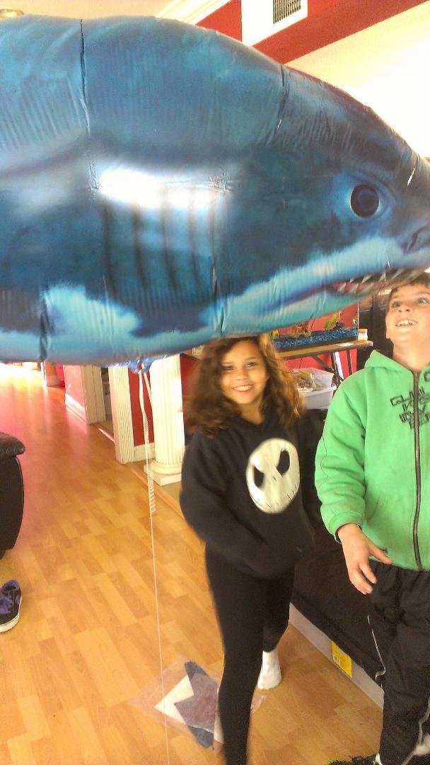 My sharks