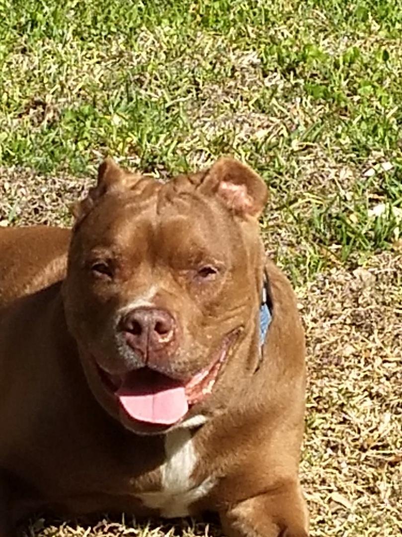 I love sun and room to soak up Ray's!!!