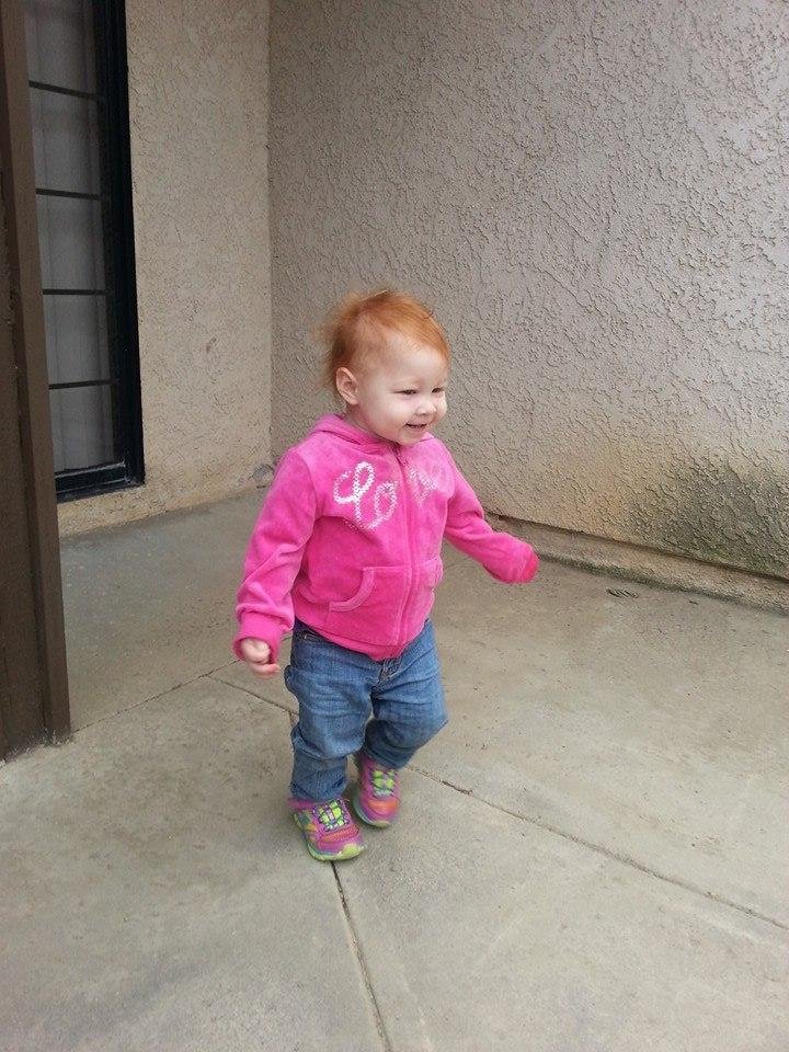 Tim Laub's album, Mobile Uploads