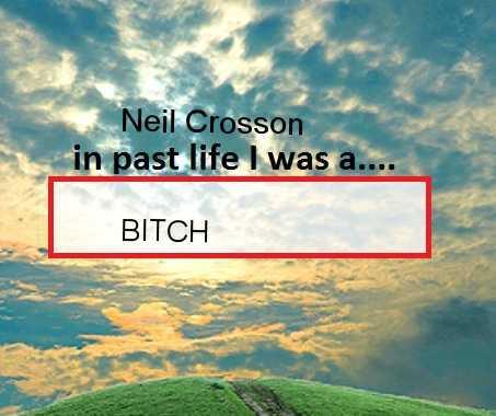 Neil Crosson's album, What were You in past Life?