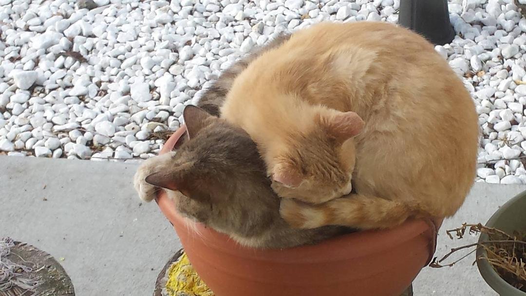 And this is how we sleep on Saturday morning after a Friday night😄