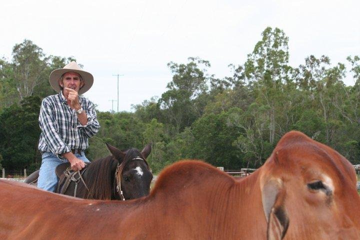 A wrangler on a working cattle ranch. Australia is the number two producer of beef in world. (We're number one.)