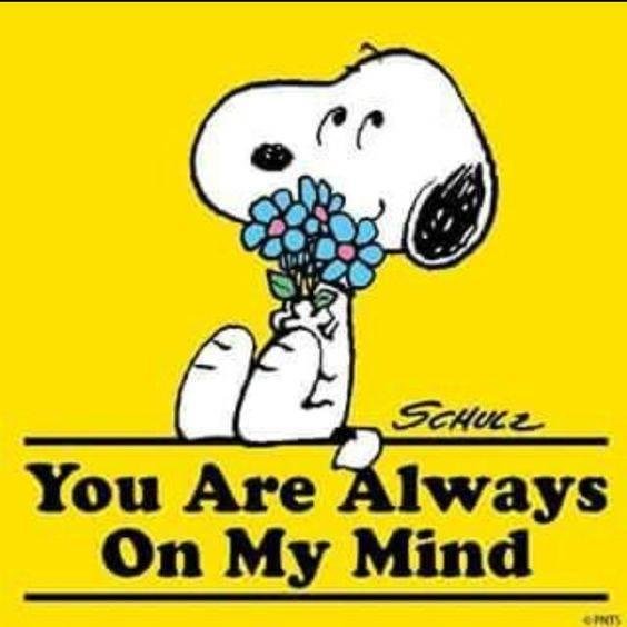 John Calladine's album, Timeline Photos