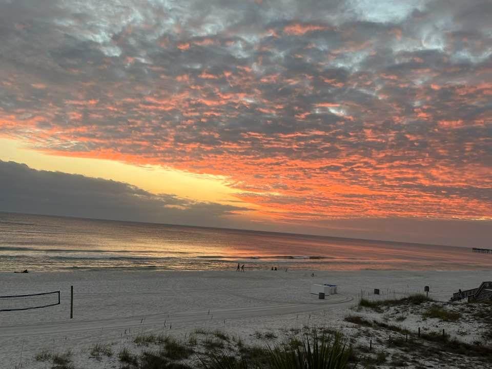 Diane Rasberry's album, Timeline photos