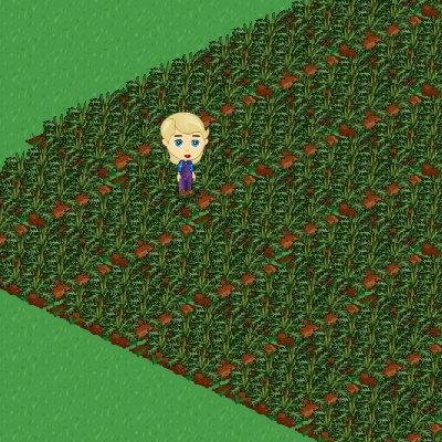 - FarmVille: http://apps.facebook.com/onthefarm/?ref=takePhoto