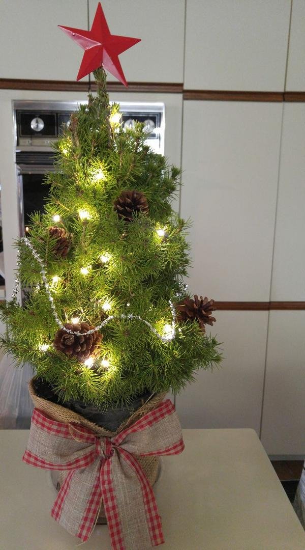 Thank you to my sweet cousin Winnette Sandlin for this adorable Christmas tree.