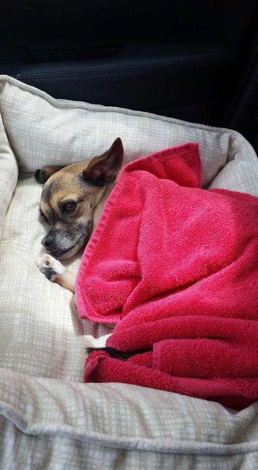 What? I'm not spoiled!
