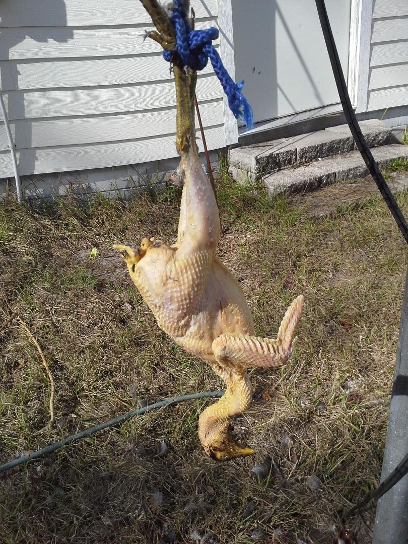Last casualty of 2012