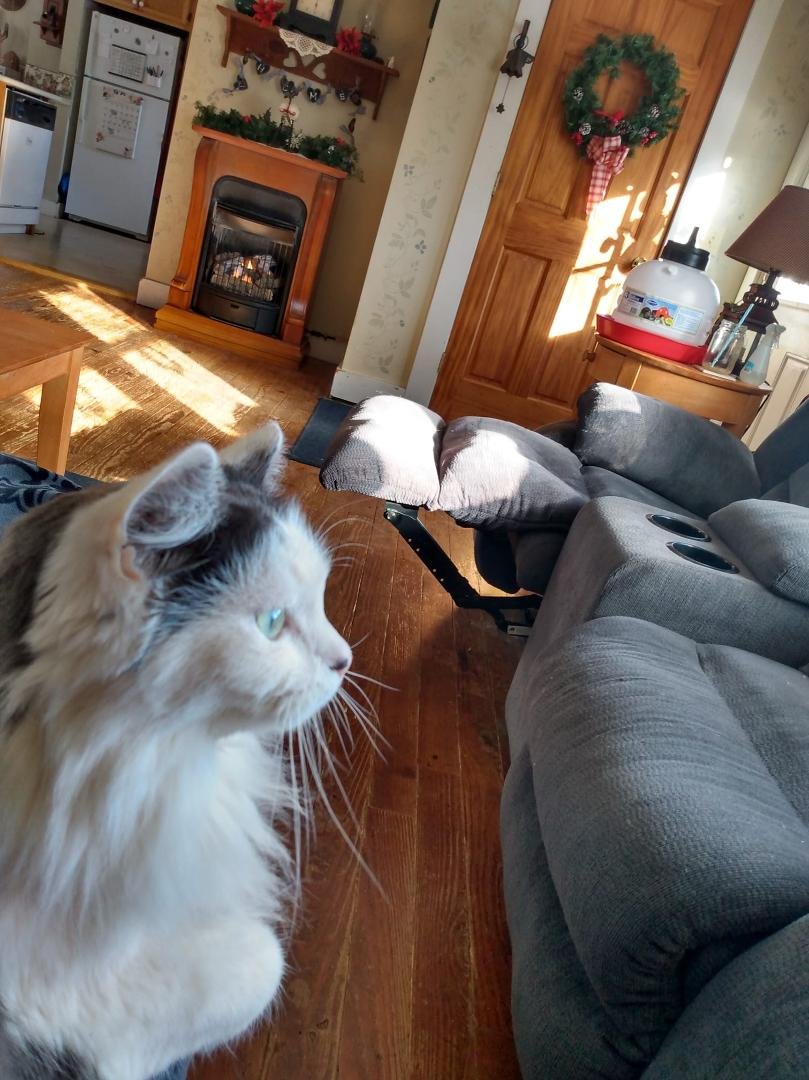 Having morning coffee and listening to the birds with Izzy.