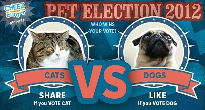 Lewis Perry's album, Mobile Uploads