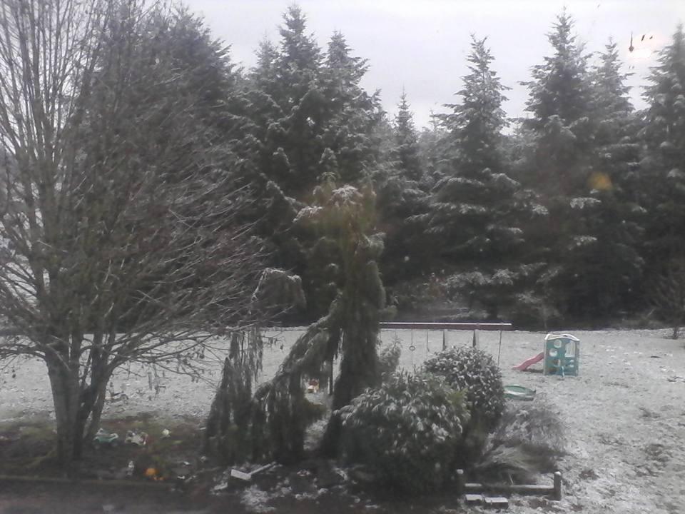 Woke up to a skiff of snow this morning.