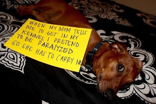 Patsy Miessler's album, Timeline Photos