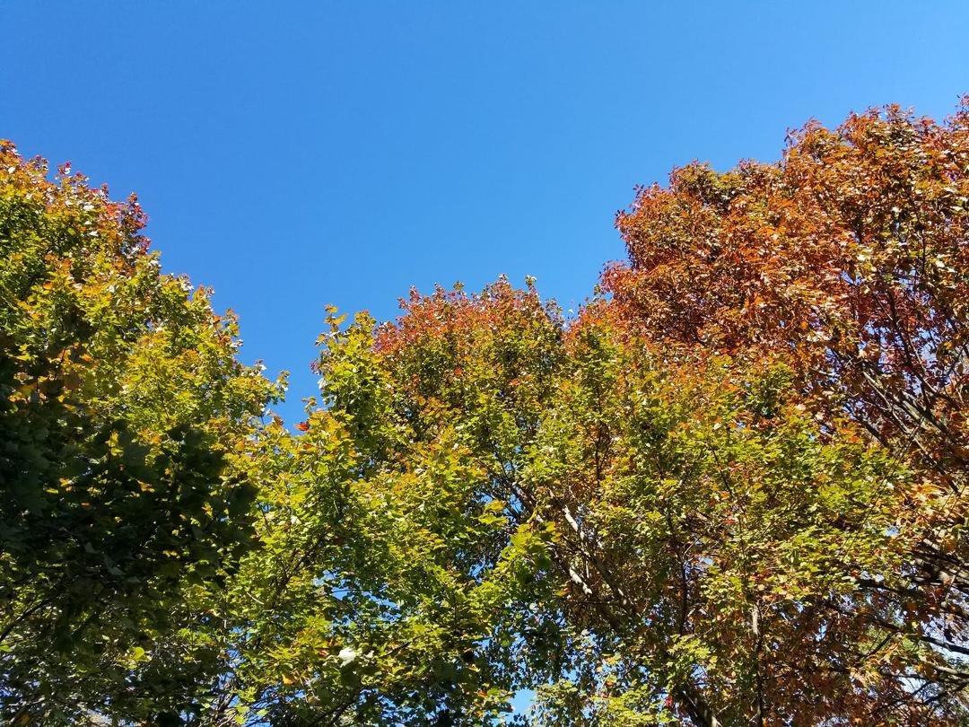 Ahhhh the fall colors