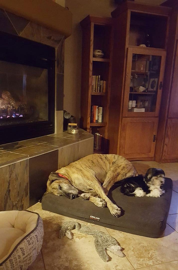 Girls staying warm by our first fire of the season.