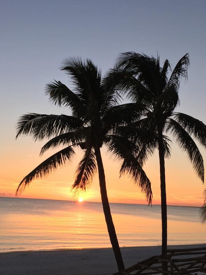 A beautiful sunset.
