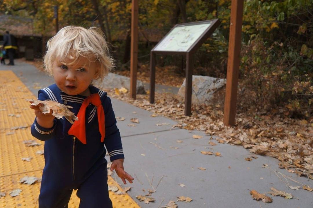 You can tell that it is fall... there are fallen leaves, falling leaves and falled leaves everywhere... JW is checking out the supply as he LOVES collecting the 'big ones'. Hey, JW! what's with the red tie attached above t
