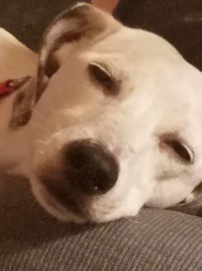 Jack is amazingly photogenic