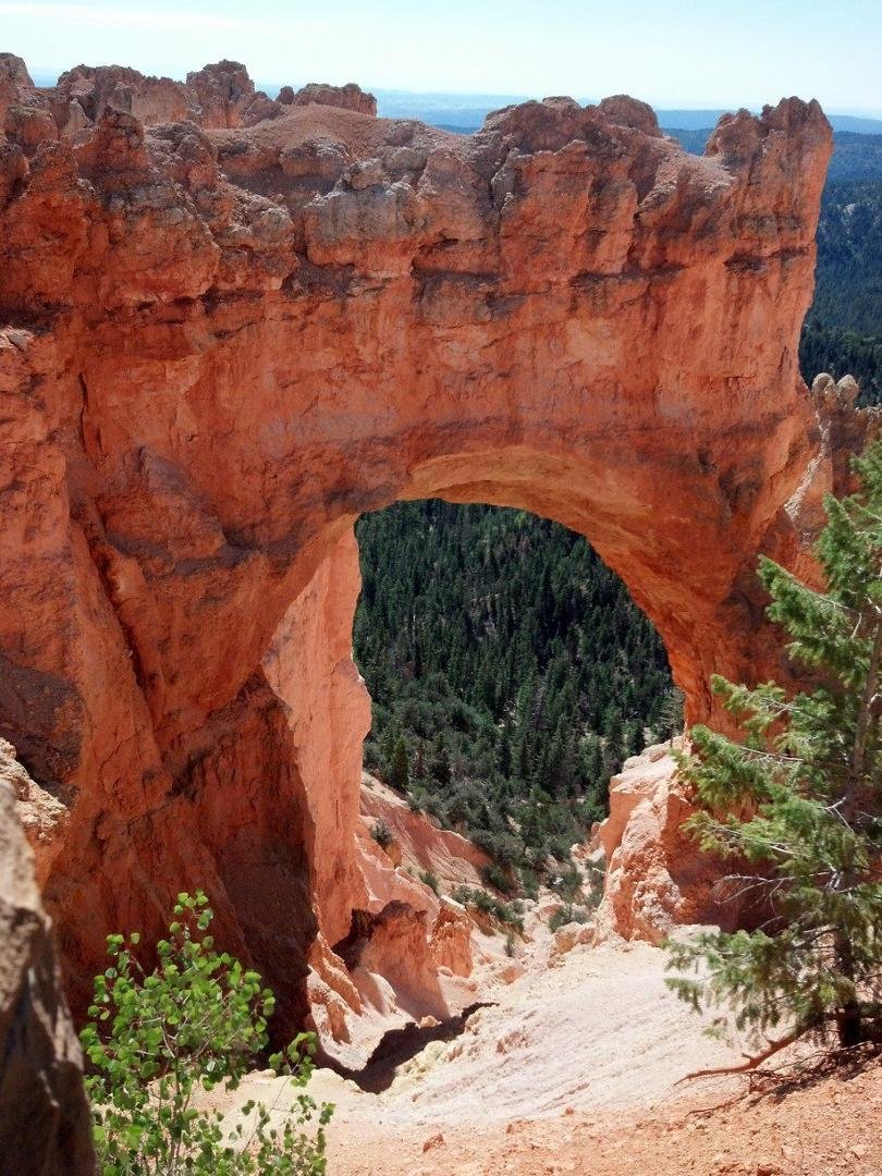 Bryce Canyon - Natural Bridge. The colors are gorgeous here!
