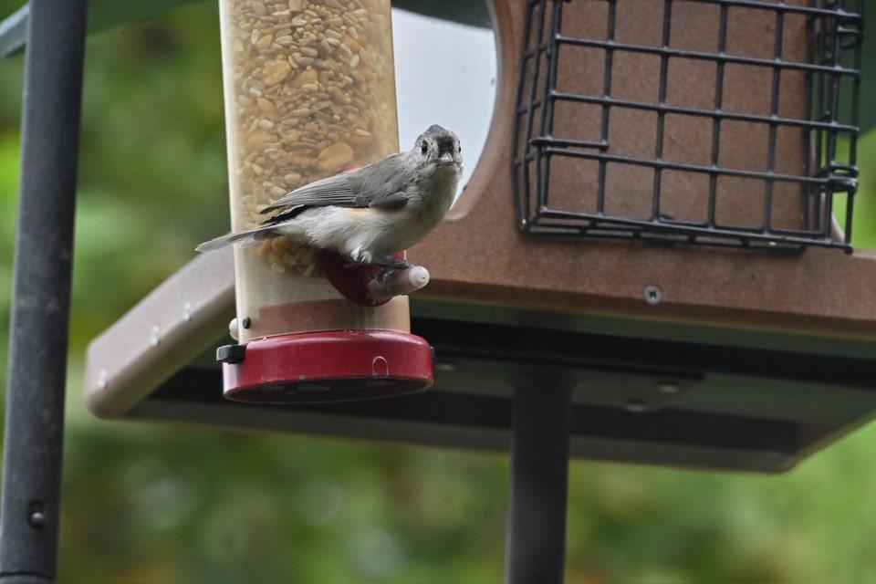 David Hinkle's album, Mobile uploads