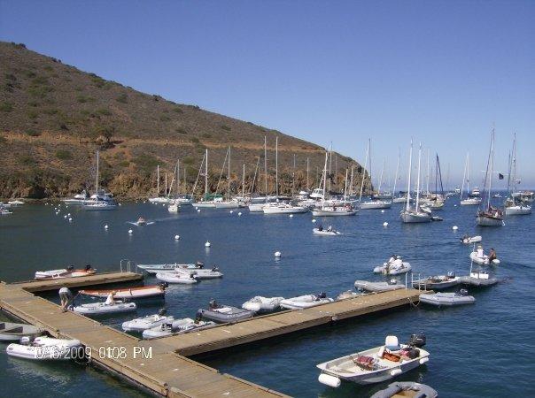 Boats coming and going all day. Lots of Dingy's at dock.