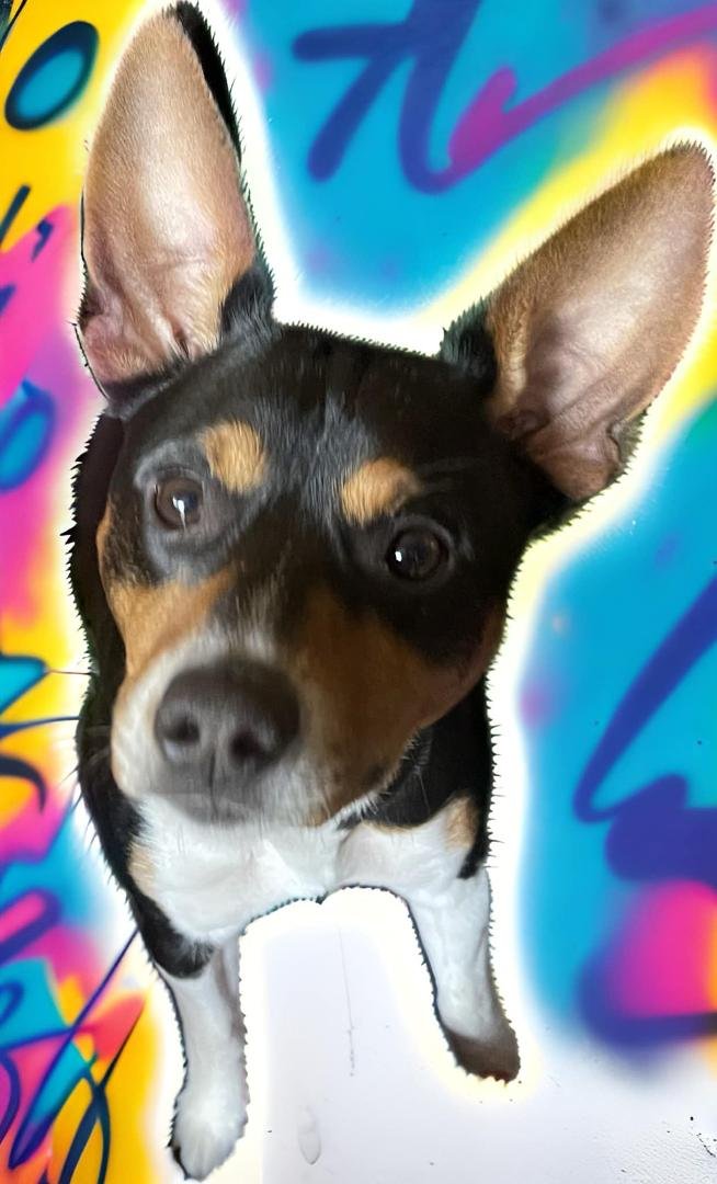 Vinny Lech's album, Mobile uploads