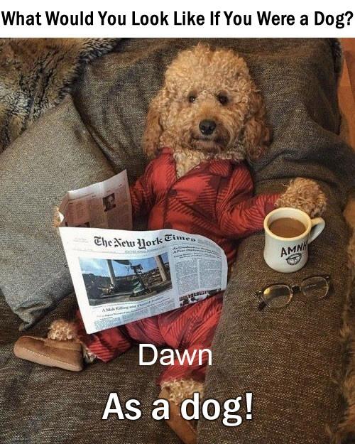 Dawn Townson's album, Timeline photos