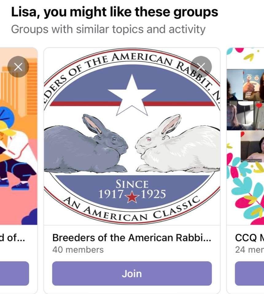You know how Facebook will often give suggestions of people, pages and groups that might interest you? I just got a whole bunch of orthodox rabbinic groups from which to choose…
…and then i got this one.