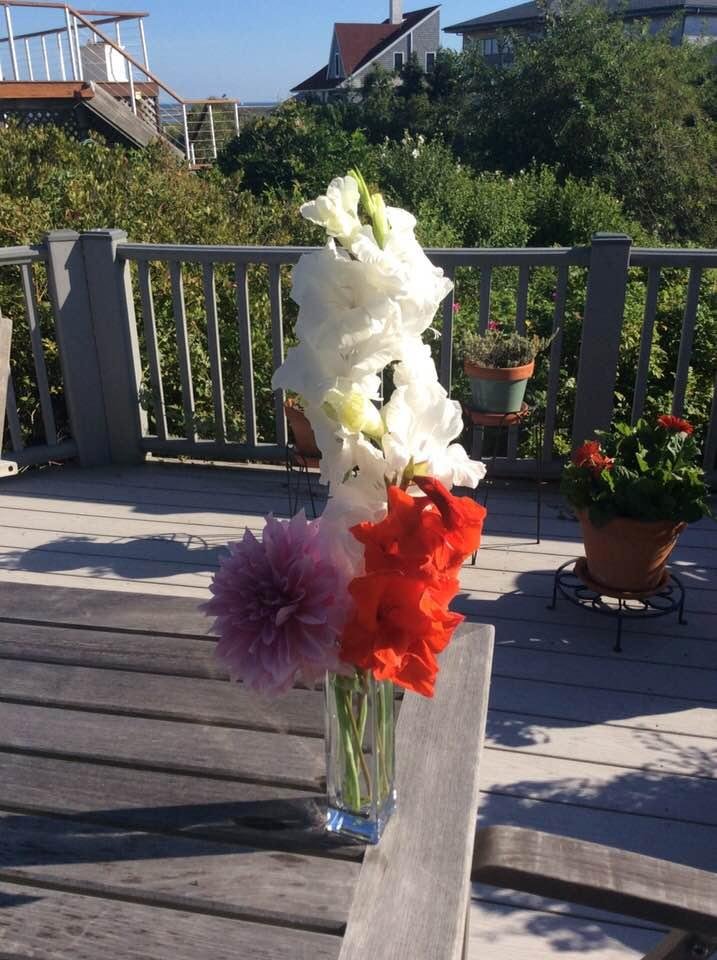 Mary Ahern's album, Timeline Photos