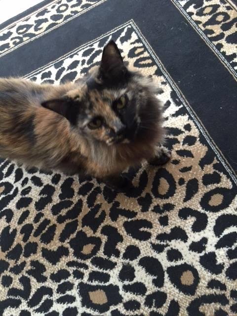 barbara mac intyre weller's album, Timeline Photos
