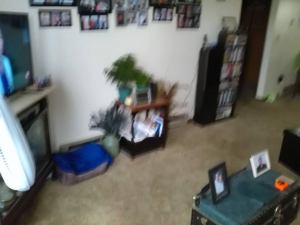 LORI Smith's album, Mobile uploads