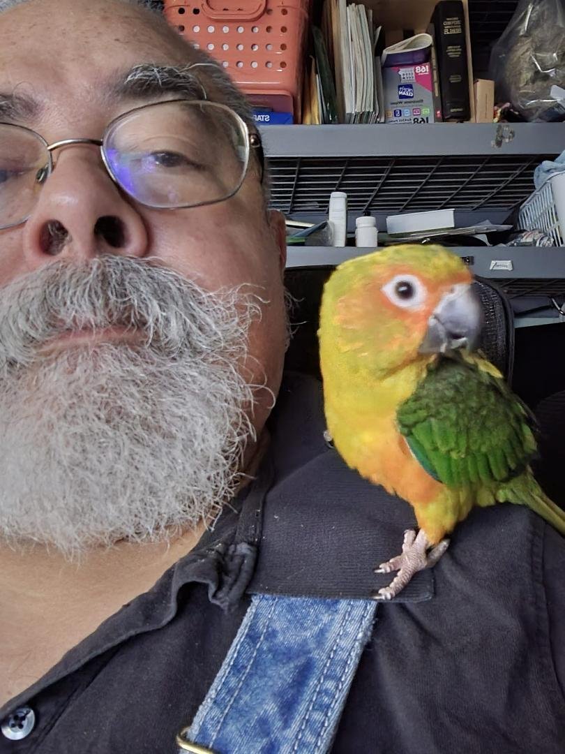 "My ape", says the bird...