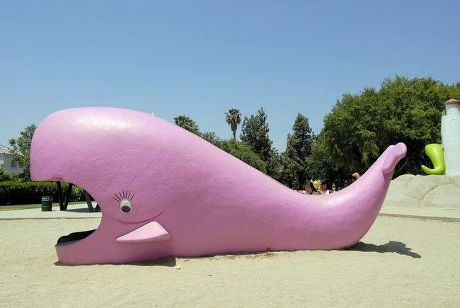 Last time Isaw my whale was in Mam

That took 40 years for my childhood pink whale to swim here from Mameo Beach! Slowpoke!
