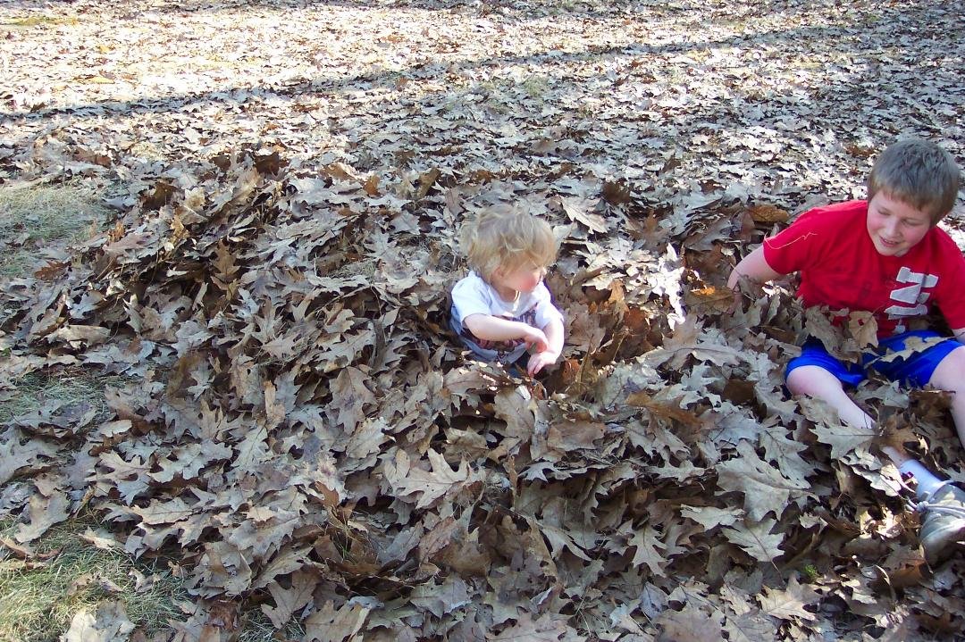 Playing in the leaves with my big brother Christian